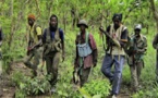 Casamance : libération de deux prisonniers du MFDC par l’armée