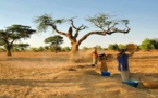 Sénégal : des femmes devenues autonomes grâce à l'agriculture