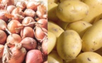 Oignon et pomme de terre : Gel des importations à partir du 25 janvier prochain