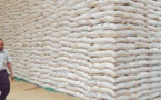 Richard Toll : 80 000 tonnes de sucre en souffrance à la Css