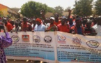 Ziguinchor : La marche des enseignants durement réprimée