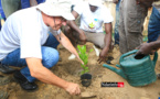 Compagnie Sucrière Sénégalaise : 300 plants d’anacardiers plantés dans la zone de la « grande mare » (vidéo)