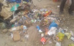 Prolifération des déchets ménagers : le cri du coeur d'un Saint-Louisien