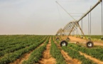 Investissement dans le secteur agricole : Des acteurs relèvent des disparités