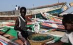 La Mauritanie bénéficiaire au détriment du Sénégal : "Un accord qui tue le commerce guet-ndarien à petit feu" 