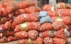 Saint-Louis : saisie de 50 tonnes d'oignon frauduleusement importées
