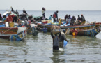 La pénurie de poissons hante le Sénégal