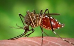Dengue : Un nouveau cas détecté