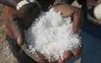 Riz : plaidoyer pour une annualisation des crédits aux producteurs