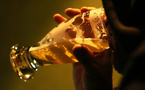 SANTE: L'ALCOOL TUE PLUS QUE LE SIDA, LA TUBERCULOSE OU LA VIOLENCE, PRÉVIENT L'OMS