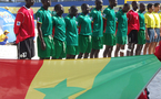 CAN 2011 de beach soccer : les Lions battent les Algériens (9-4)