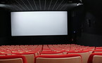 COMMUNIQUE: 11ème édition du Festival de Cinéma Image et Vie (FESTIV)