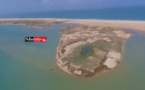 Documentaire - GUINAAR, l'île aux choux (vidéo)