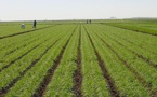 "Toutes les conditions réunies pour une bonne campagne agricole", assure le ministre Moussa BALDÉ