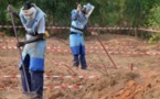 Casamance : 16 démineurs enlevés par des bandes armées