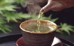 Maigrir grâce au thé Maigrir grâce au thé