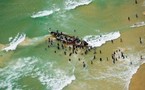 Visite de Khouraïchi Thiam à Nouakchott: les licences de pêche à l'ordre du jour