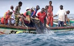 Appel aux candidats à la présidentielle pour une pêche durable