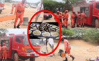 Panique à Guédiawaye: Le serpent de la terreur n’est pas encore capturé