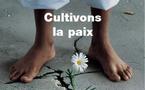 CONTRIBUTION  Pour une préservation de la paix sociale