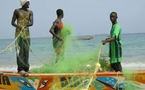 Accords de pêche non autorisés : Le Sénégal jette 08 milliards en mer par an