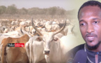 Développer l’élevage à DAGANA : Lancement d’une troisième phase d’ASSTEL 3 pour « consolider les acquis » (vidéo)