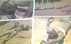 VIDEO| L'exhumation des corps de Bara Sow et Ababacar Diagne par les gendarmes à Madinatou Salam