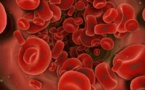 Groupe sanguin et coronavirus : moins de risque pour le groupe O ?