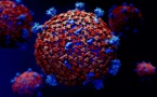 Coronavirus: le voile se lève peu à peu sur la maladie