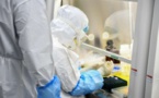 Coronavirus : un vaccin efficace testé chez le singe
