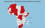 Coronavirus en Afrique : une carte pour suivre au jour le jour l’avancée de l’épidémie