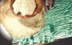 Compétitivité dans la culture du riz : Le Sénégal plus performant que la Thaïlande