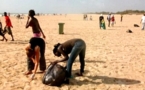 Saint-Louis : De jeunes volontaires ont nettoyé la plage de l’hydrobase, ce dimanche