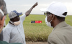 PRESSION AVIAIRE DANS LA VALLÉE : des traitements aériens pour freiner le péril (vidéo)