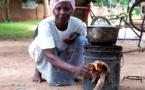 Communauté rurale de Gandiole:   Introduction des fourneaux cuiseurs à économie de bois