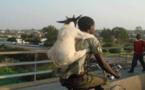Saint-Louis - Pikine : Des voleurs ‘’sorciers’’ dépècent les moutons et emportent la viande.