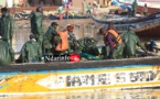 Licences de pêche : Les acteurs interpellent la tutelle et peaufinent un plan d'action Licences de pêche : Les acteurs interpellent la tutelle et peaufinent un plan d'action