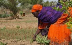 Un officiel reconnait l’urgence de faciliter l’accès des femmes rurales à l’énergie