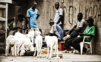 Record de chômeurs : Le Sénégal classé 3e pays dans le monde (Rapport OIT)