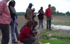Coopération: 12 lycéens et apprentis lommois (Lille) vont visiter le centre d'initiative horticole de Saint-Louis.