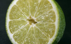 Le citron ennemi N°1 du cancer