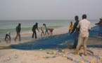 La Mauritanie et le Sénégal ont signé un protocole d'application d'une convention de pêche et d'aquaculture.