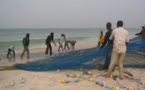 La Mauritanie et le Sénégal ont signé un protocole d'application d'une convention de pêche et d'aquaculture. La Mauritanie et le Sénégal ont signé un protocole d'application d'une convention de pêche et d'aquaculture.