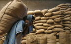 Consommation de blé au Sénégal: Une enveloppe de 45 milliards par an pour l'importation.
