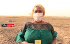 DAGANA : une mission du WE4F suscite de l’espoir auprès des productrices de riz (vidéo)
