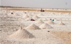 [REPORTAGE] Ndiakhèr : l’espoir d’une vie meilleure avec l’exploitation du sel.