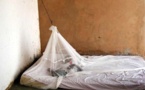 Paludisme: A Saint-Louis, les autorités sanitaires annoncent un net recul de la maladie.