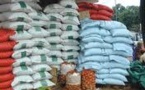 Riz : Le Sénégal peut-il atteindre l’autosuffisance, à travers la production locale ?