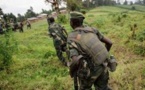 RDCongo: combats dans l'est entre l'armée et un groupe rebelle ougandais