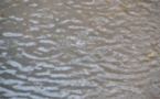 Une forte pluie à Saint-Louis, ce dimanche.